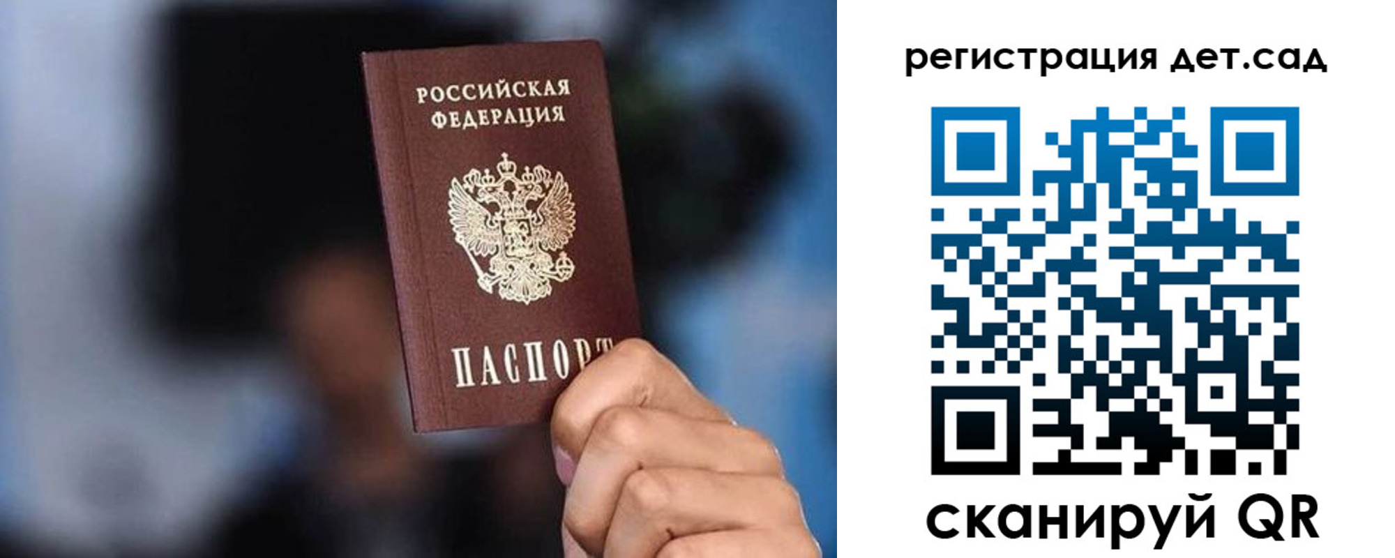 прописка для школы в Курской области